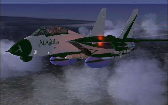 F14 TOMCAT de ALANDALUS..